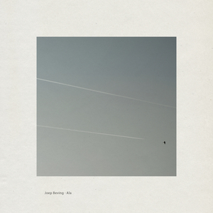 男人日女人逼视频
