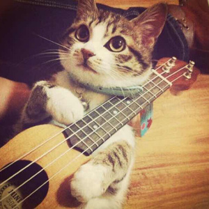 男人日女人逼视频
