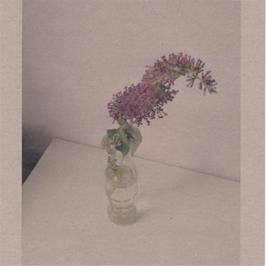 男人日女人逼视频
